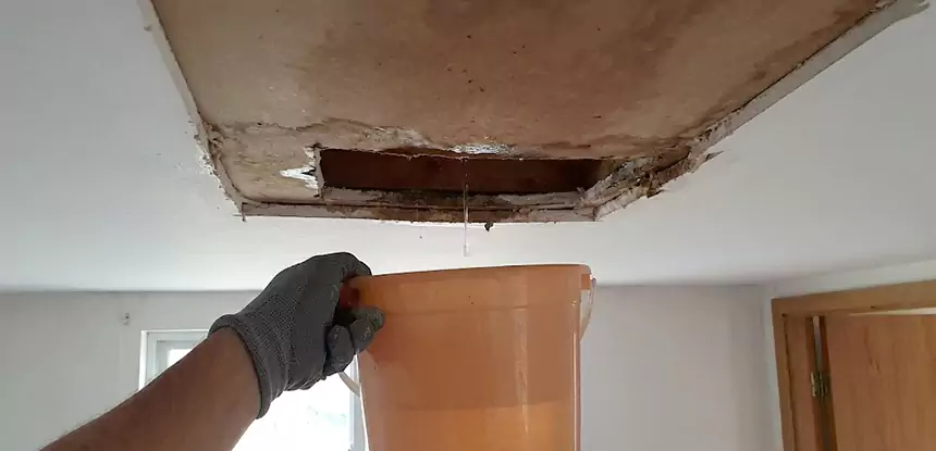 Ceiling Mold Repair Adairsville